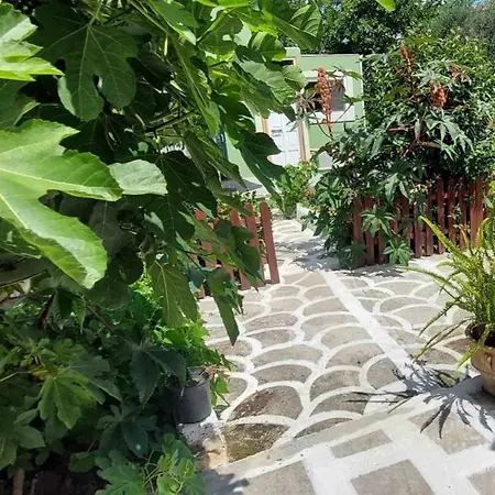 Дом отдыха Gruene Haus Афионас